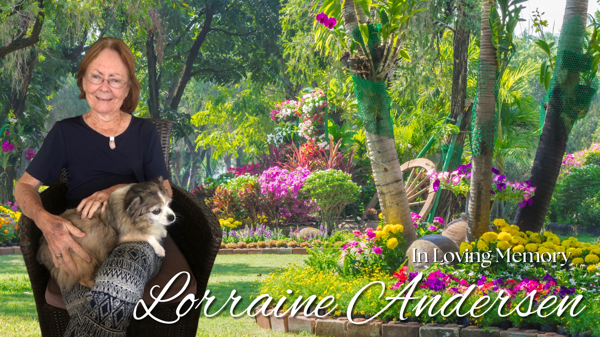 Lorraine Norah Jane Andersen