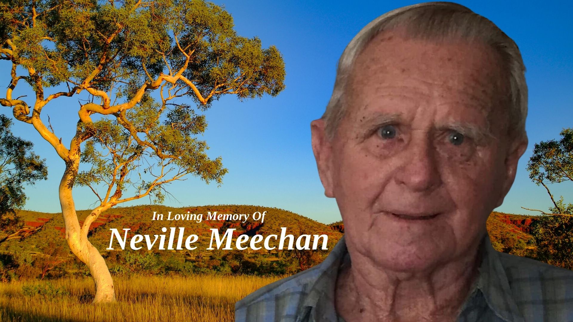 Neville Meechan