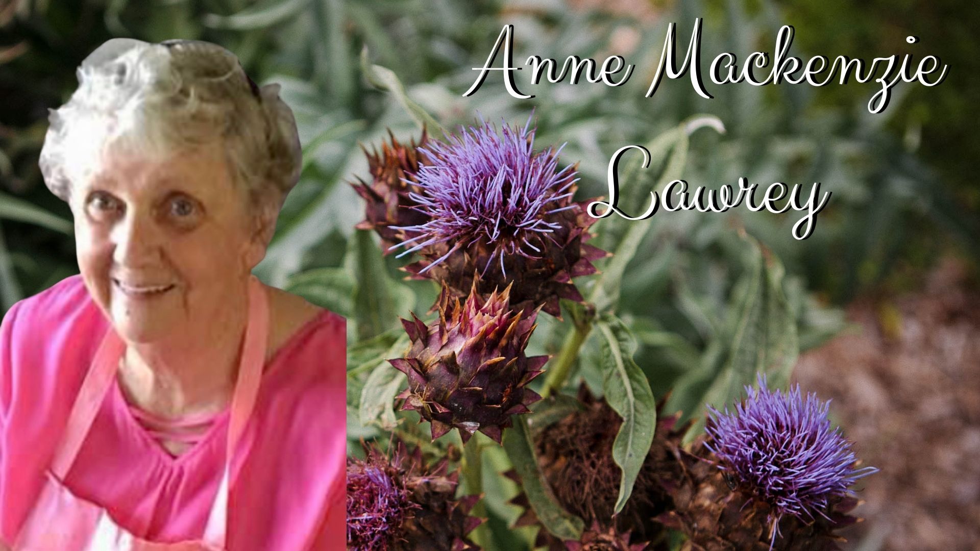Anne Mackenzie Lawrey