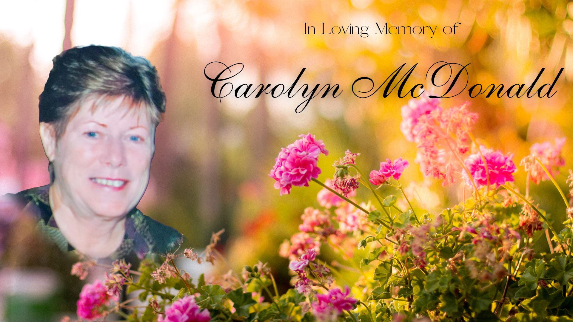 Carolyn Ann McDonald