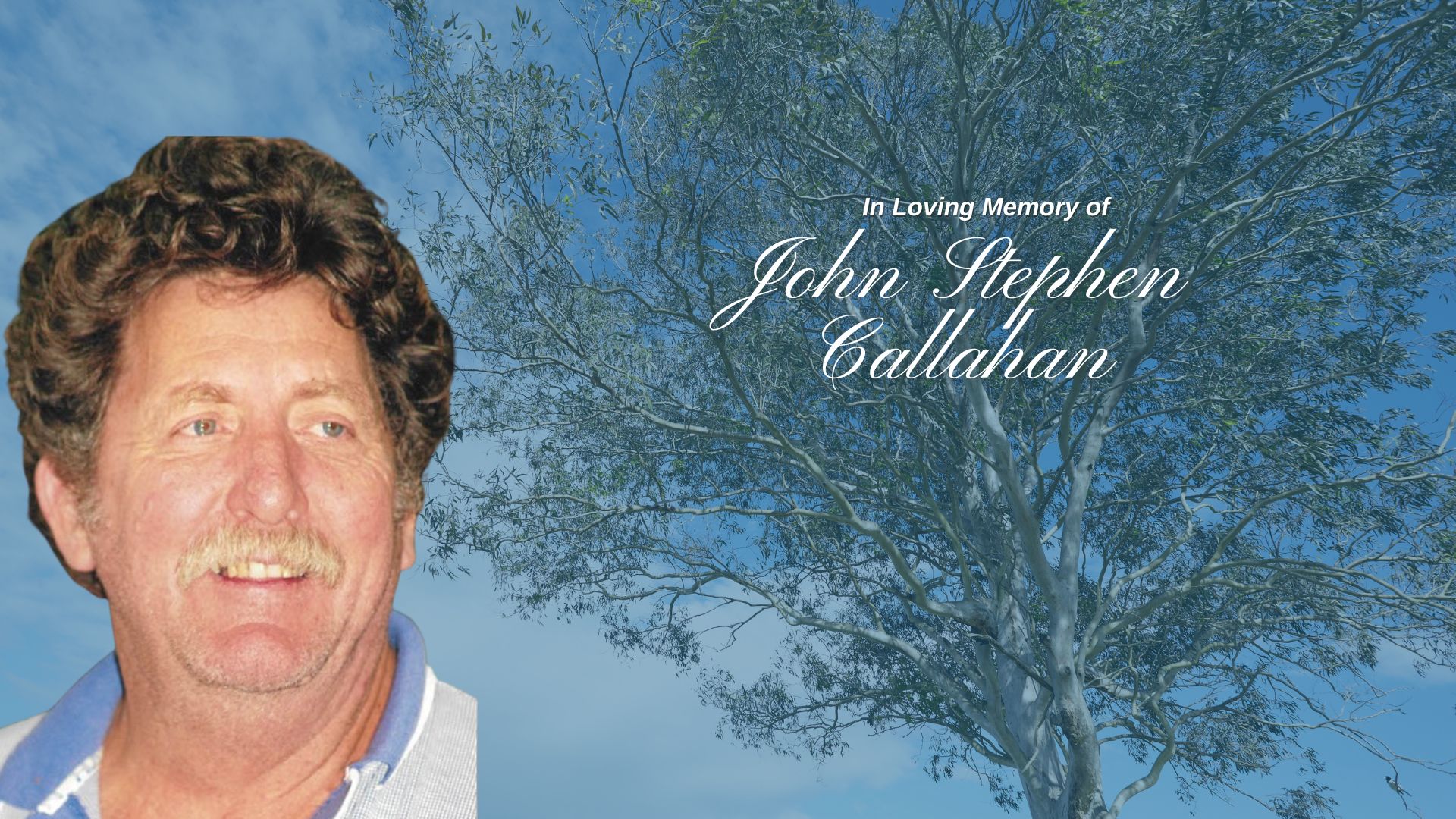 John Stephen Callahan 