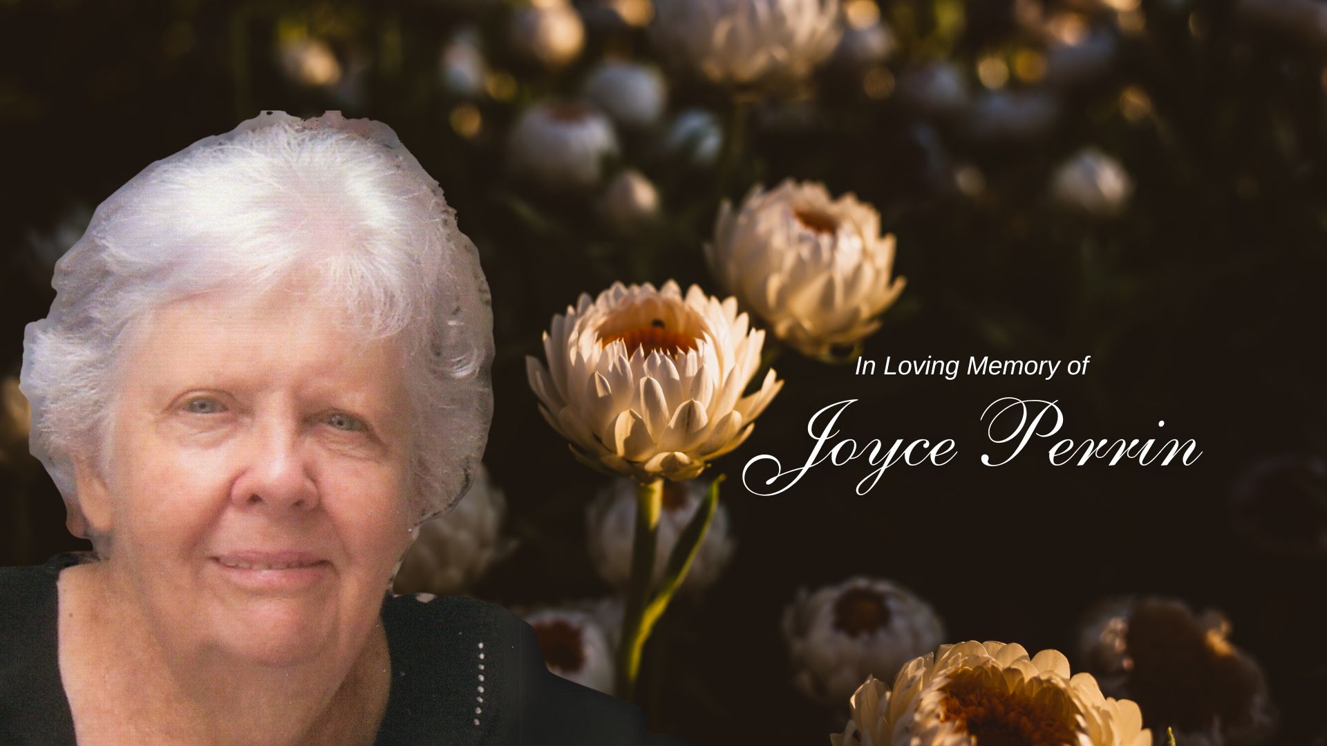 Joyce Perrin