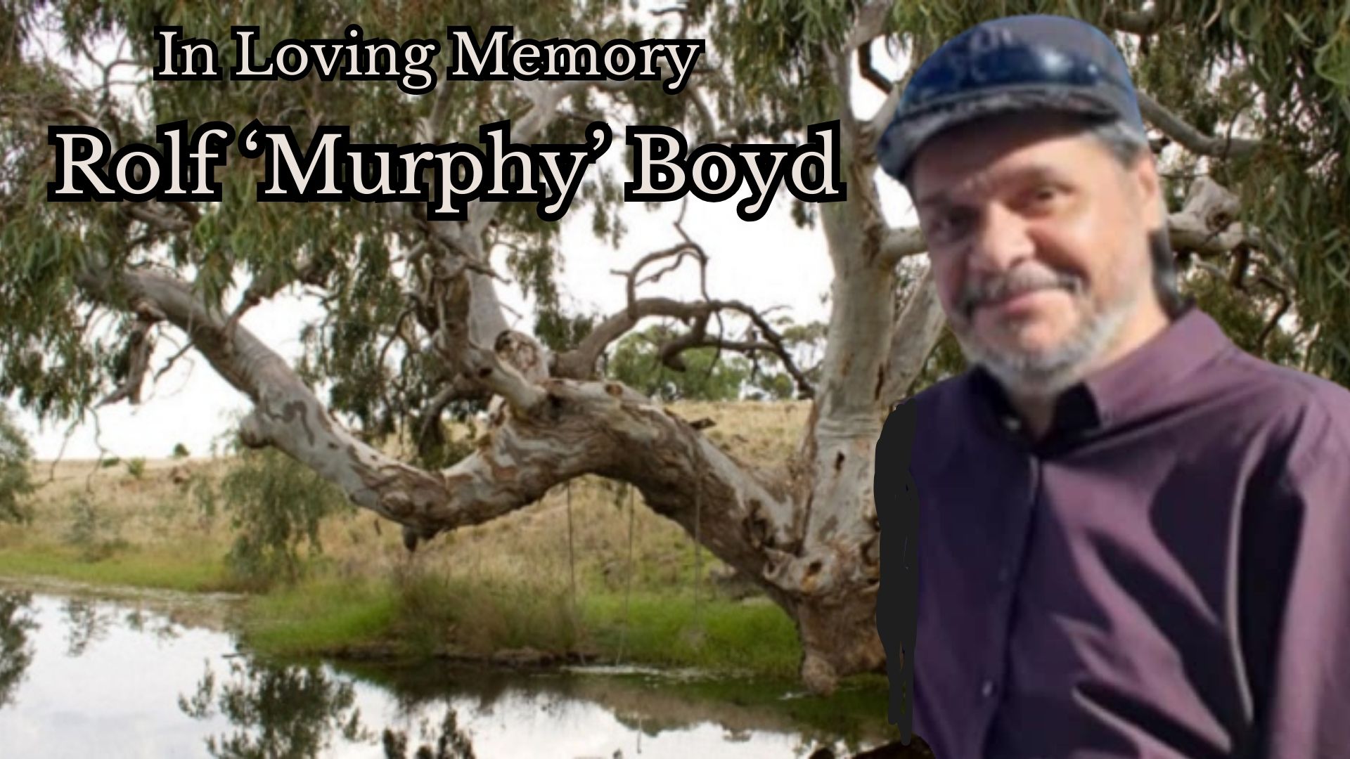 Rolf Murphy Boyd