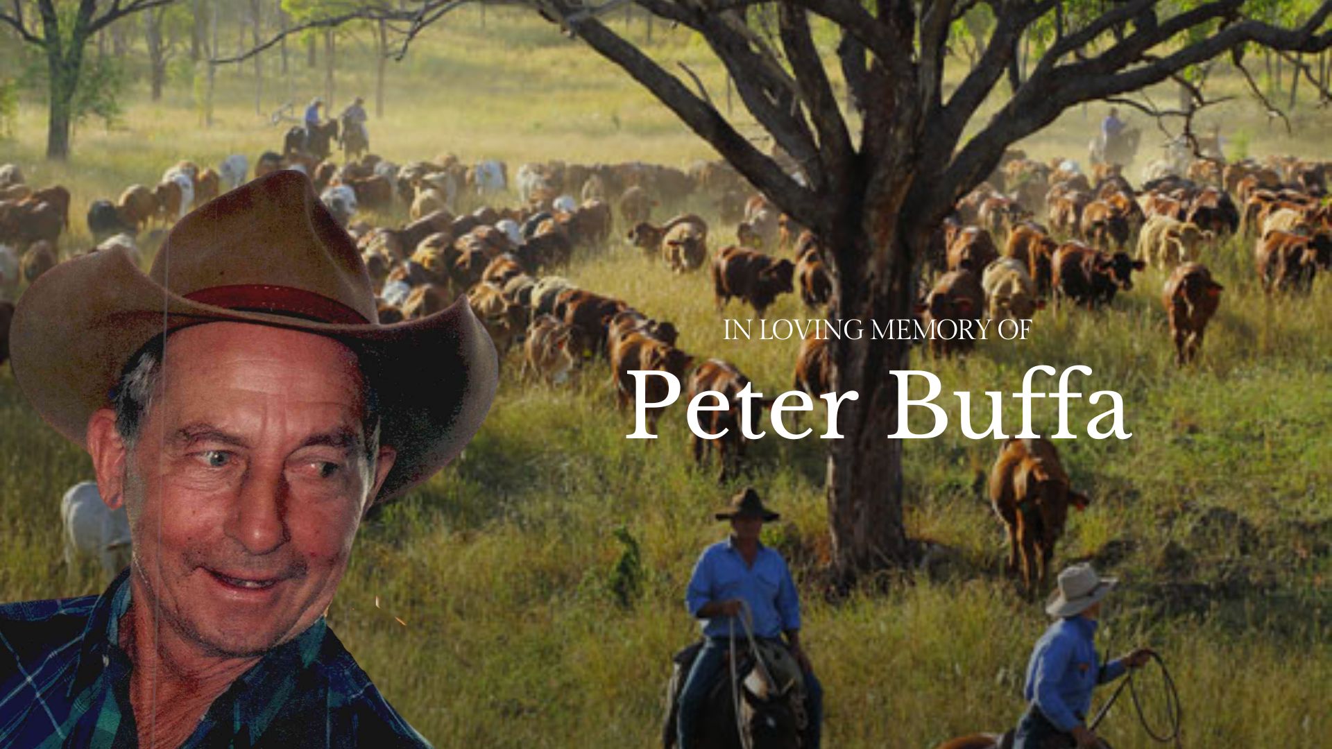 Peter Buffa